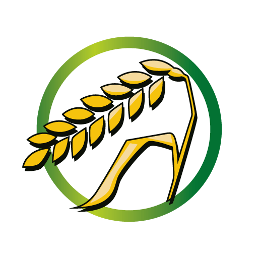 glutenhaltiges Getreide-Weizen und Weizenerzeugnisse